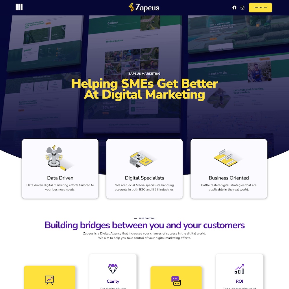 Zapeus Marketing project visual